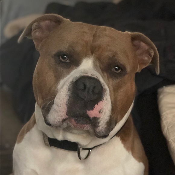 Meet your Posher, Michelle - Picture 5 of 8